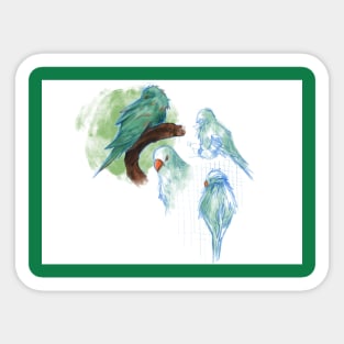 Parrots Sticker